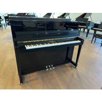 Schimmel 116 International (2000)